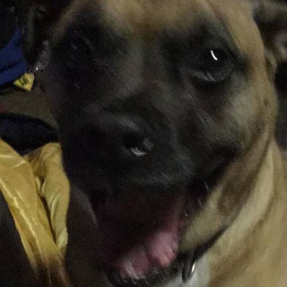 Meet your Posher, David - Picture 1 of 1